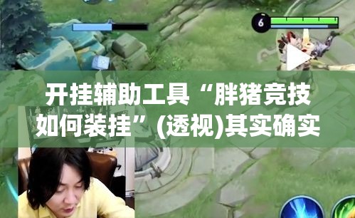 开挂辅助工具“胖猪竞技如何装挂”(透视)其实确实有挂