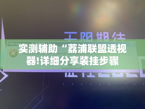 实测辅助“荔浦联盟透视器!详细分享装挂步骤