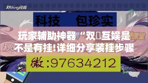 玩家辅助神器“双囍互娱是不是有挂!详细分享装挂步骤