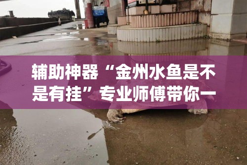 玩家必备教程“金花房卡代理销售”轻松获取房卡全渠道