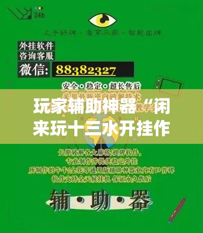 玩家辅助神器“闲来玩十三水开挂作弊辅助”专业师傅带你一起了解(确实有挂