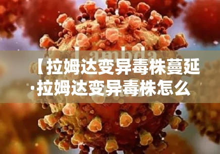 一分钟实测分享“微信牛牛房卡充值”详细房卡怎么购买教程
