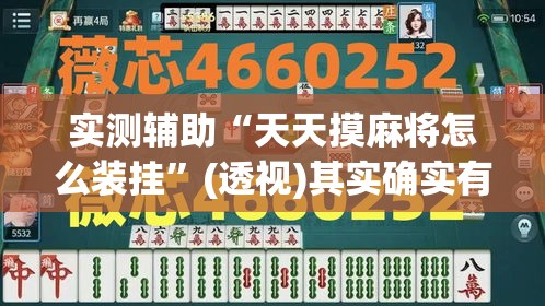 实测辅助“天天摸麻将怎么装挂”(透视)其实确实有挂
