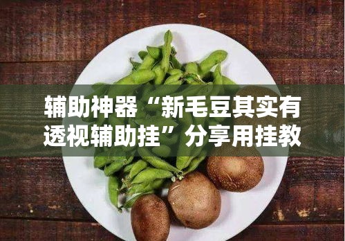 辅助神器“新毛豆其实有透视辅助挂”分享用挂教程