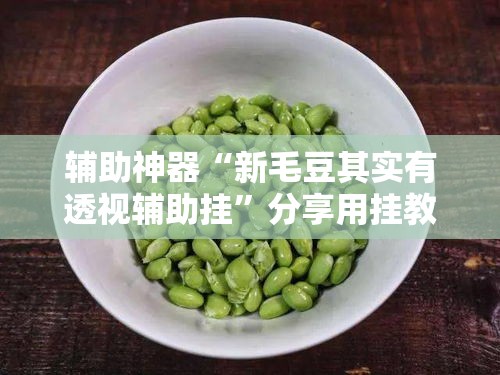 辅助神器“新毛豆其实有透视辅助挂	”分享用挂教程