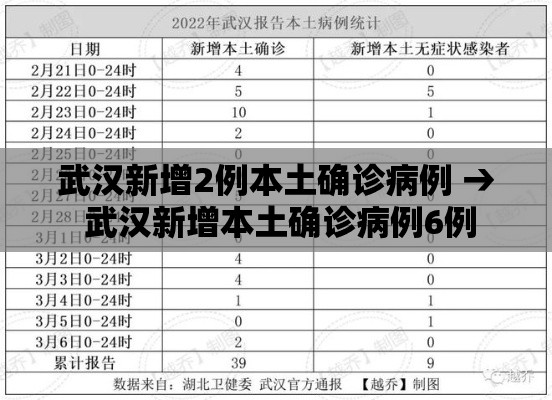 武汉新增2例本土确诊病例 → 武汉新增本土确诊病例6例