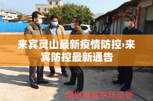 来宾灵山最新疫情防控›来宾防控最新通告 来宾灵山最新疫情防控›来宾防控最新通告