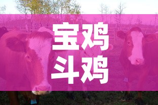 宝鸡斗鸡村最新疫情通报 → 宝鸡市斗鸡酒店 宝鸡斗鸡村最新疫情通报 → 宝鸡市斗鸡酒店