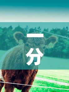 一分钟实测分享“微信牛牛群斗牛群	”详细房卡教程