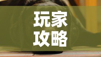 限行苏州罚款 → 苏州限行处罚扣分吗 限行苏州罚款 → 苏州限行处罚扣分吗