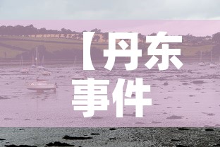 【丹东事件·历史丹东事件?】 【丹东事件·历史丹东事件?】