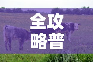 全攻略普及“微信牛牛群房间卡如何购买”轻松获取房卡全渠道