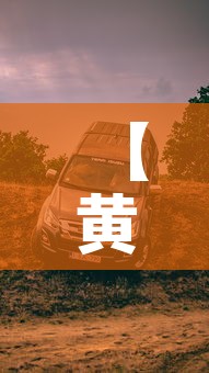 【黄色皮卡限行·皮卡限行区】 【黄色皮卡限行·皮卡限行区】