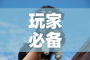 玩家必备教程“斗牛房卡牛牛房卡”详细房卡使用教程