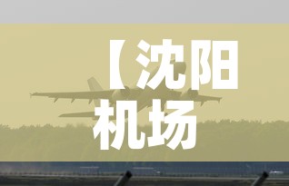 阿坝十一限行:阿坝限行吗 阿坝十一限行:阿坝限行吗