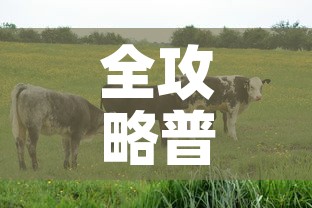 全攻略普及“开牛牛群怎么买房卡	”详细房卡教程