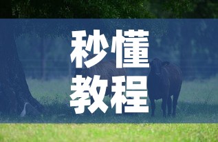 秒懂教程“微信牛牛群斗牛群”获取房卡教程-哔哩哔哩