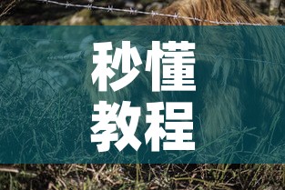 秒懂教程“微信牛牛群斗牛群	”获取房卡教程-哔哩哔哩