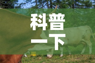 科普一下“微信牛牛群房卡怎么弄	”房卡怎么购买