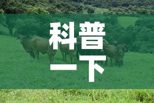 科普一下“微信牛牛群斗牛群”房卡使用教程