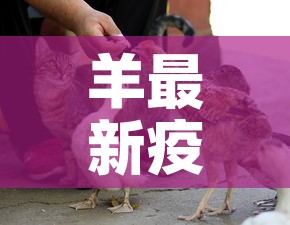 羊最新疫情消息在哪里 → 羊 疫情 羊最新疫情消息在哪里 → 羊 疫情