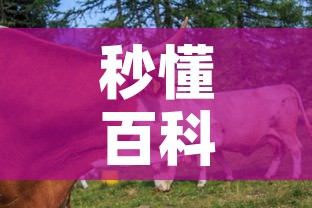 秒懂百科“微信牛牛群房卡”购买房卡介绍