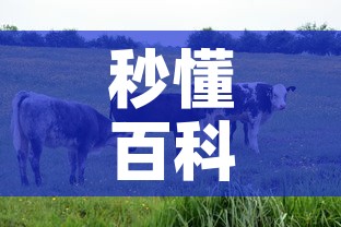 秒懂百科“微信牛牛群房卡”购买房卡介绍
