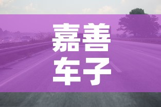 嘉善车子限行—（嘉善外地货车限行区域）