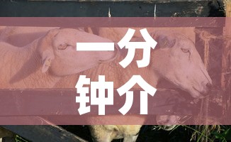 一分钟介绍使用“微信牛牛群斗牛群	”轻松获取房卡全渠道