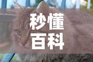 秒懂百科“斗牛房卡怎么购买	”购买房卡介绍