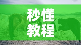 秒懂教程“微信牛牛群斗牛群”房卡怎么购买