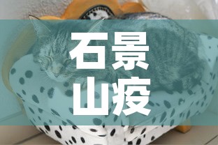 石景山疫情最新动态分布›石景山最新疫情情况