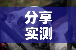分享实测“微信牛牛群斗牛群	”详细房卡怎么购买教程