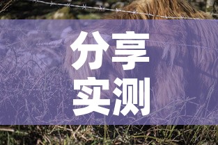 分享实测“微信牛牛群斗牛群”详细房卡怎么购买教程