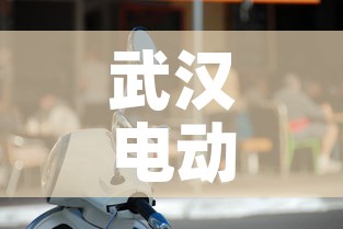 武汉电动车:武汉电动车牌照查询 武汉电动车:武汉电动车牌照查询