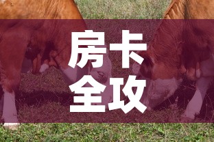 房卡全攻略“微信牛牛群斗牛群”详细房卡教程