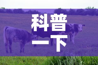 科普一下“微信牛牛群房卡怎么弄	”链接房卡在哪里获取