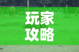 玩家攻略“微信牛牛群斗牛群”房卡获取方式