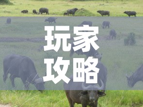 玩家攻略“微信牛牛群斗牛群”房卡获取方式