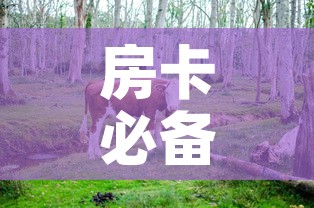 房卡必备教程“微信牛牛群斗牛群”房卡链接获取