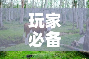 玩家必备教程“微信牛牛群斗牛群	”链接房卡在哪里获取