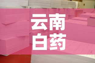 云南白药厂宿舍租金价格›云南白药厂宿舍租金价格表