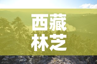 西藏林芝限行—(拉萨到林芝限速) 西藏林芝限行—(拉萨到林芝限速)