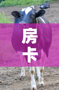 房卡必备教程“微信牛牛群斗牛群”房卡获取方式
