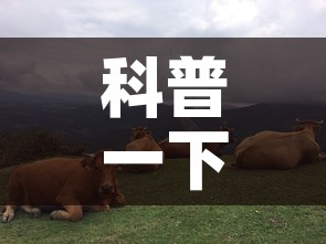 科普一下“微信斗牛牛链接”房卡使用教程