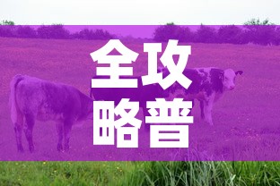 给大家讲解“牛牛房咔哪里买”轻松获取房卡全渠道