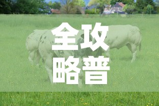 一分钟介绍使用“牛牛房卡怎么搞”房卡使用教程
