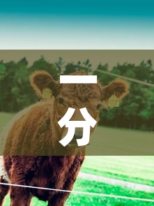 一分钟实测分享“微信牛牛群斗牛群”链接房卡在哪里获取
