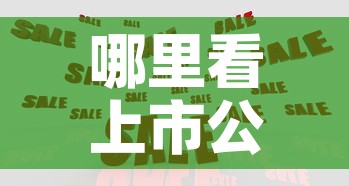 哪里看上市公司现金价值 → 如何看上市公司的现金 哪里看上市公司现金价值 → 如何看上市公司的现金