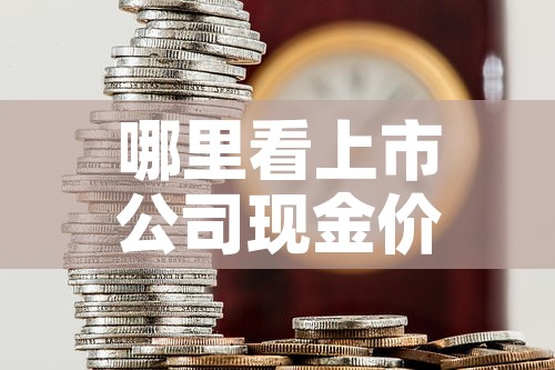 哪里看上市公司现金价值 → 如何看上市公司的现金 哪里看上市公司现金价值 → 如何看上市公司的现金